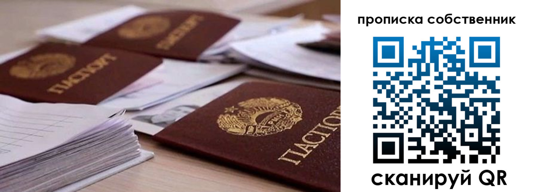 регистрация для дет. сада в Мурино